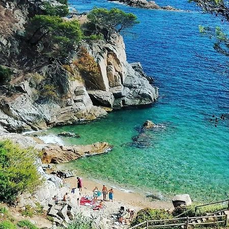 Apartmán La Calma De Tossa Girona Exteriér fotografie