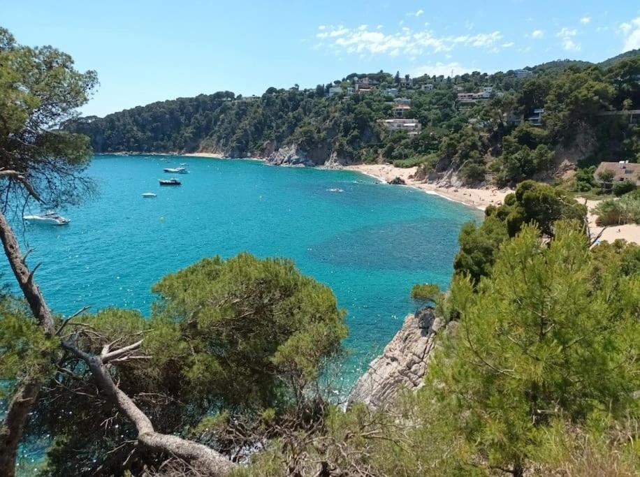 Apartmán La Calma De Tossa Girona Exteriér fotografie